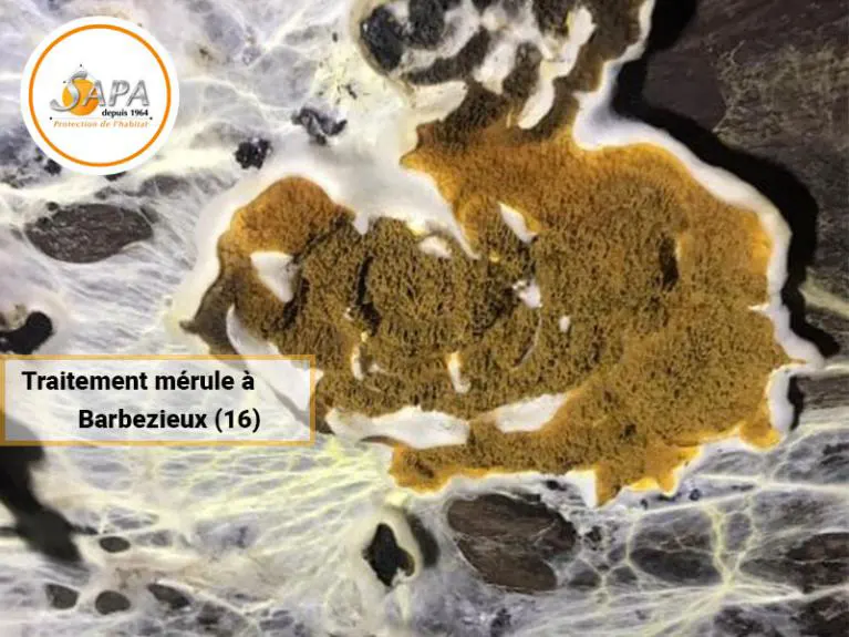 découvrez les services de diagnostic habitat à ruffec pour assurer la sécurité et la conformité de votre logement. obtenez des analyses précises sur l'état de votre habitation et faites le bon choix pour votre santé et votre confort.