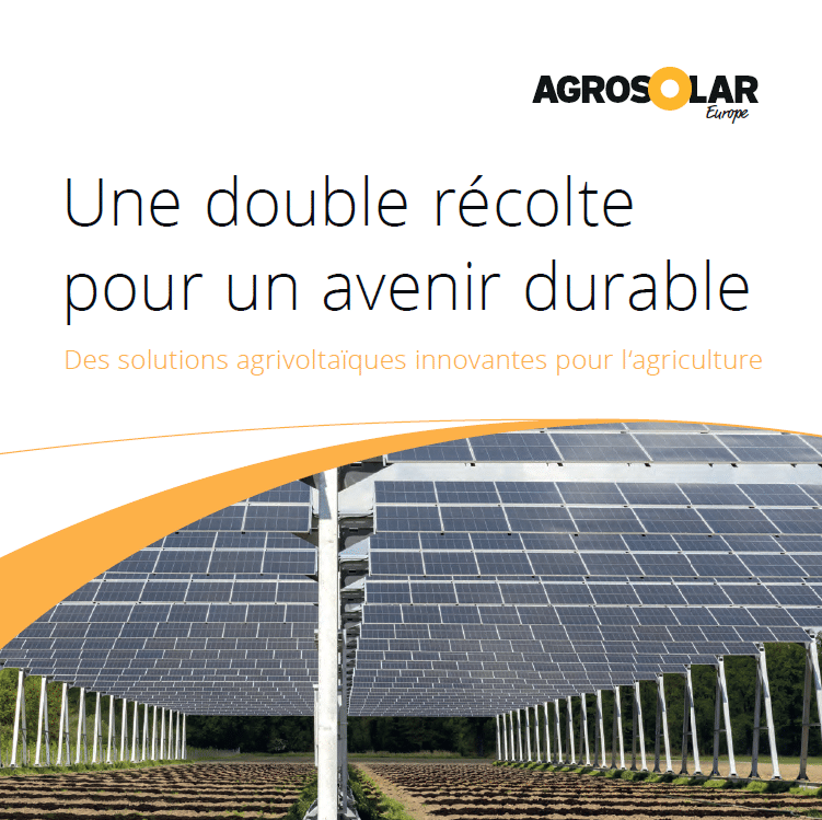 découvrez notre forum faq dédié aux plantes de type pv (plantes vivaces) ! posez vos questions, partagez vos expériences et obtenez des conseils d'experts et d'amateurs pour cultiver et entretenir vos plantes. rejoignez notre communauté passionnée et enrichissez vos connaissances sur l'univers des plantes vivaces.