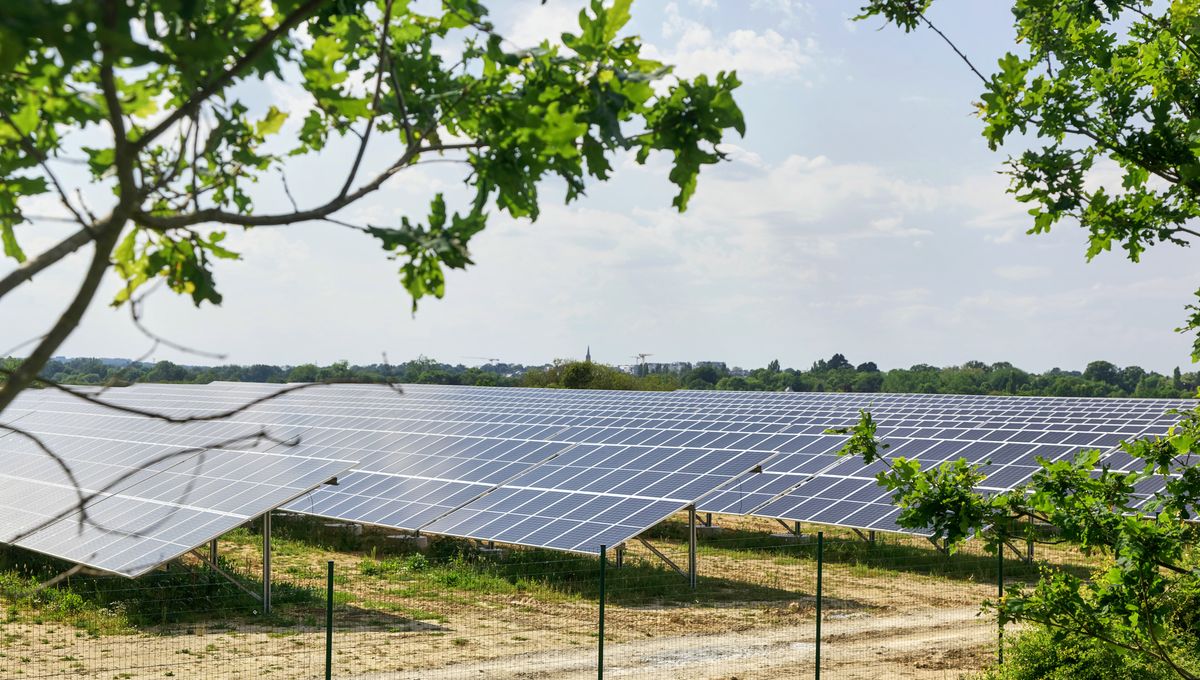découvrez notre ferme solaire, un projet innovant et durable qui transforme l'énergie du soleil en électricité propre. engagez-vous pour l'avenir de la planète en soutenant des solutions énergétiques renouvelables, et profitez d'une source d'énergie fiable et respectueuse de l'environnement.