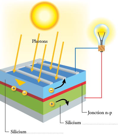 découvrez comment fonctionne une cellule photovoltaïque, ses composants essentiels et le processus par lequel elle transforme la lumière du soleil en énergie électrique. explorez les principes de la conversion de l'énergie solaire et les avantages des panneaux solaires pour une transition énergétique durable.