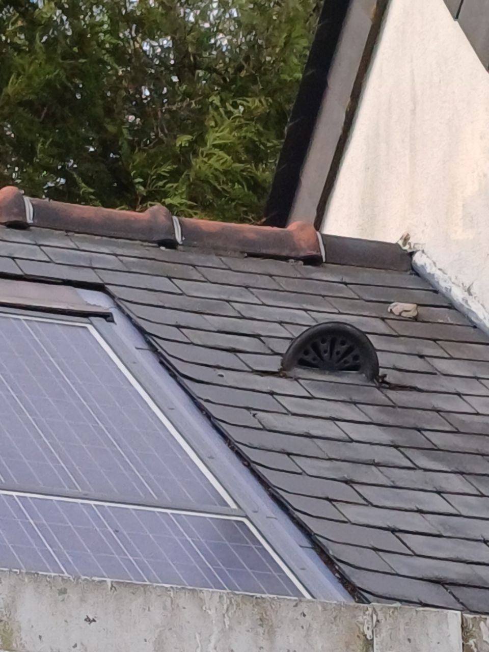 découvrez notre forum dédié aux panneaux velux solaires, où vous pouvez échanger des conseils, poser des questions et partager vos expériences sur l'installation, l'entretien et les avantages des solutions énergétiques durables pour votre maison.