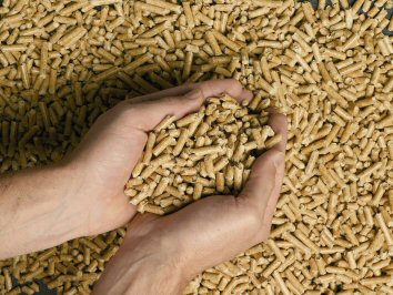 découvrez notre forum dédié aux pellets, où passionnés et experts partagent conseils, astuces et expériences. que vous soyez novice ou professionnel, trouvez ici des discussions sur les meilleurs types de pellets, les poêles à granulés, l'entretien et l'actualité du secteur.