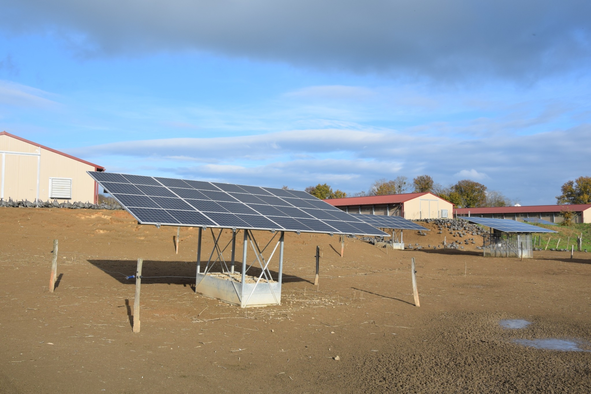 découvrez notre forum dédié au photovoltaïque agricole, un espace d'échange et d'information pour les agriculteurs et les professionnels du secteur. partagez vos expériences, posez vos questions et restez à jour sur les dernières innovations et bonnes pratiques en matière d'énergie solaire. rejoignez-nous pour soutenir une agriculture durable et économiquement viable!
