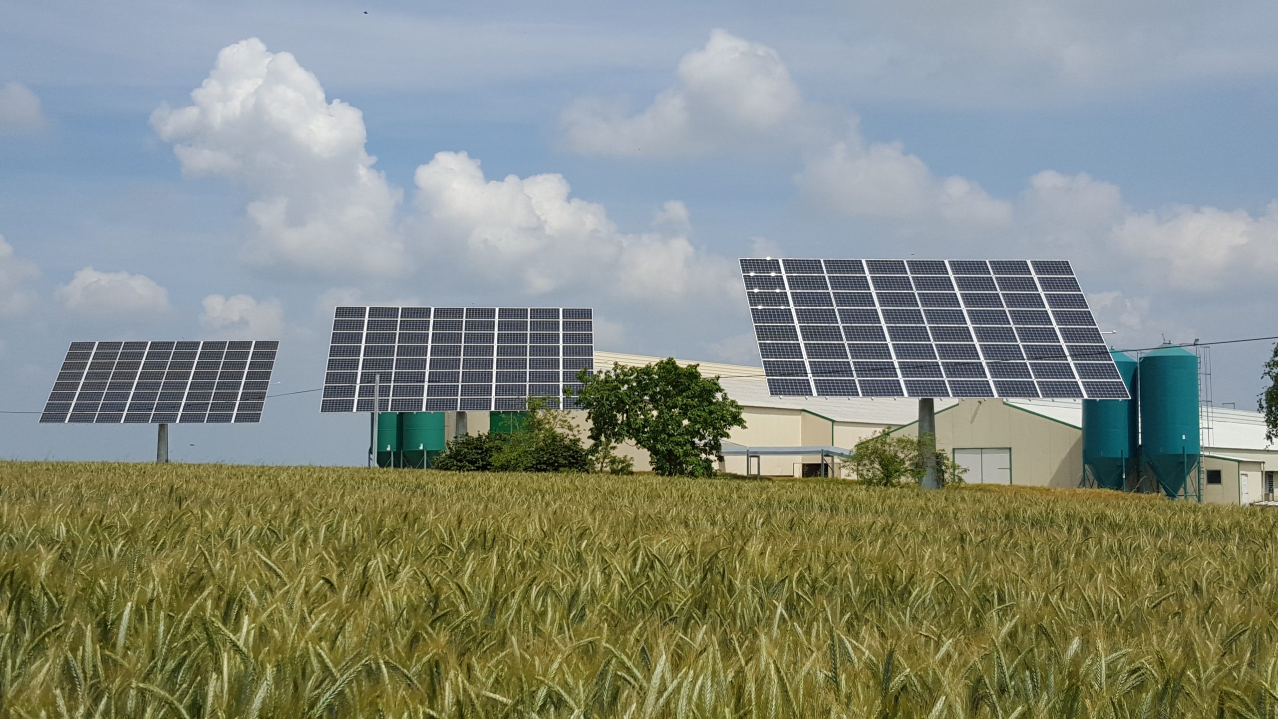 découvrez le forum photovoltaïque agricole, un espace d'échange et de partage pour les professionnels du secteur. explorez les dernières innovations, bénéficiez de conseils d'experts et participez à des discussions sur l'intégration de l'énergie solaire dans l'agriculture.