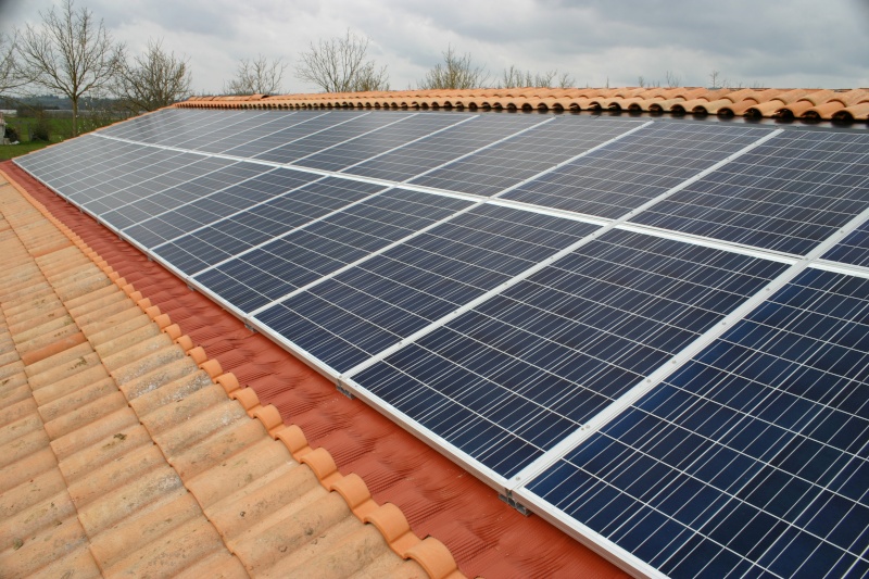 découvrez notre forum dédié au photovoltaïque agricole, un espace d'échange et de partage d'expériences pour optimiser l'utilisation de l'énergie solaire dans le secteur agricole. rejoignez des experts et des agriculteurs passionnés pour discuter des dernières innovations, des projets en cours et des solutions durables.