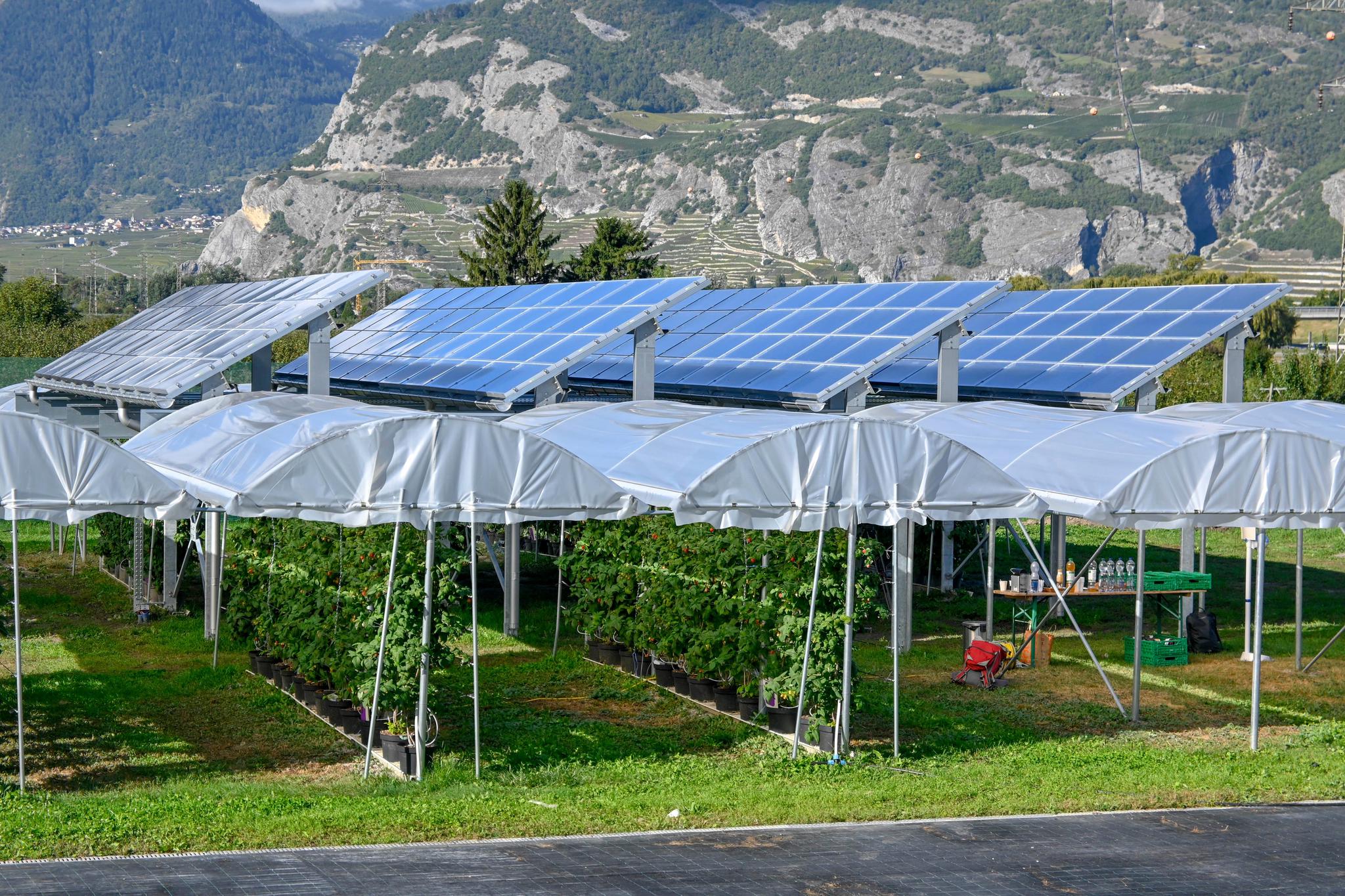 découvrez le forum photovoltaïque suisse, un espace d'échange et d'information dédié aux passionnés et professionnels de l'énergie solaire en suisse. partagez vos expériences, posez vos questions et restez informé des dernières innovations et réglementations dans le domaine du photovoltaïque.