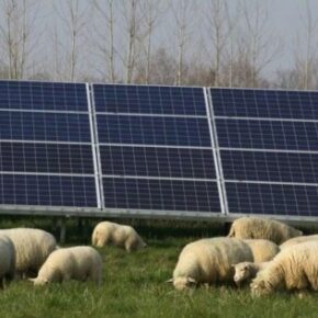 découvrez le forum photovoltaïque tecsol, un espace d'échanges et de partage d'informations dédié aux passionnés et professionnels de l'énergie solaire. participez aux discussions sur les innovations, les tendances du marché et les meilleures pratiques pour optimiser l'utilisation des panneaux photovoltaïques.