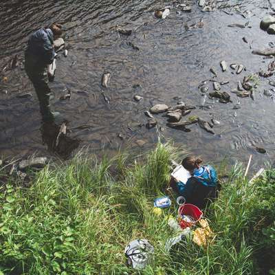 découvrez l'écosurveillance, une approche innovante pour la protection de l'environnement et la gestion durable des ressources naturelles. informez-vous sur les nouvelles technologies et les initiatives qui contribuent à la préservation de notre planète.