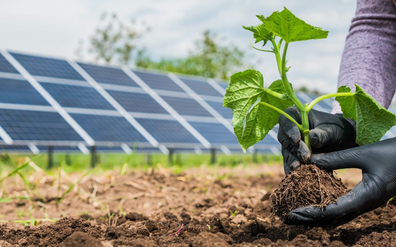 découvrez notre guide complet sur l'énergie photovoltaïque, conçu pour vous aider à comprendre les avantages, les installations et les meilleures pratiques pour tirer parti de l'énergie solaire. transformez votre consommation énergétique en un choix écologique et économique.