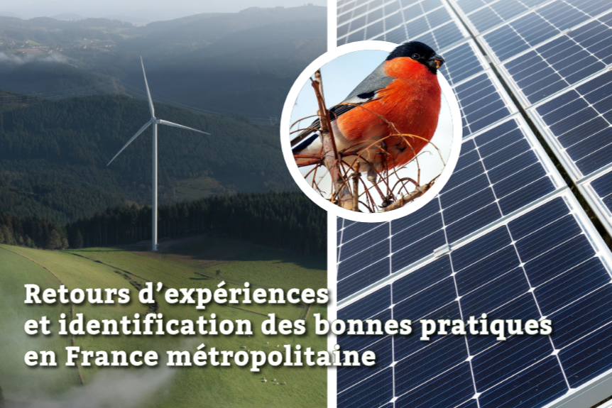 découvrez notre guide photovoltaïque complet pour la france. apprenez tout sur les panneaux solaires, les aides financières, les démarches administratives et comment optimiser votre installation pour produire une énergie renouvelable et durable.