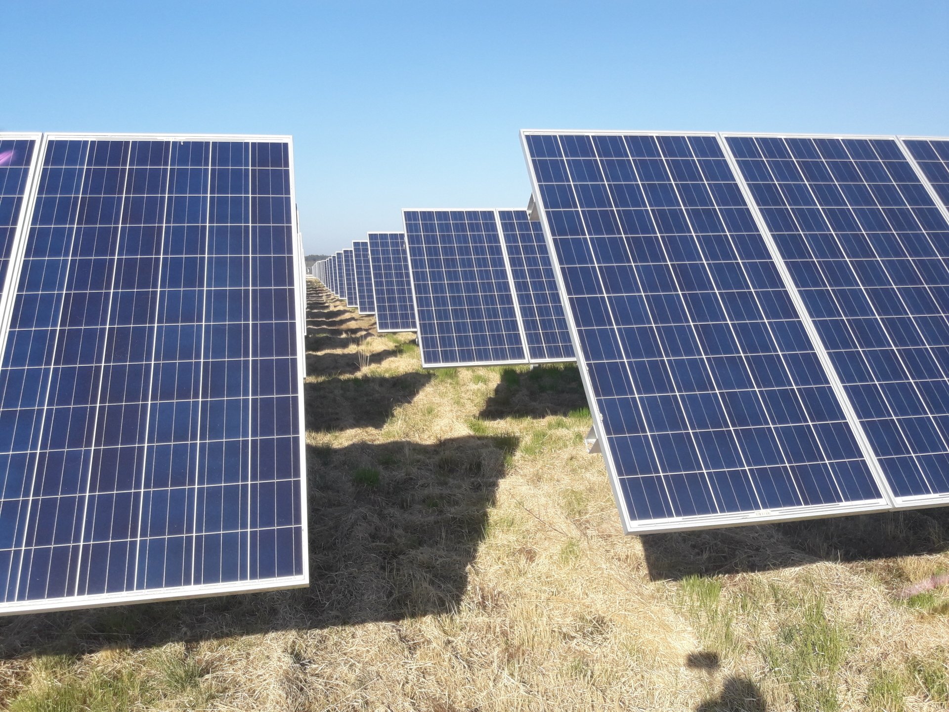 découvrez notre guide complet sur l'habilitation photovoltaïque, qui vous aidera à comprendre les exigences, les formations nécessaires et les bénéfices liés à l'installation de panneaux solaires. adoptez une énergie durable et certifiée avec nos conseils experts.