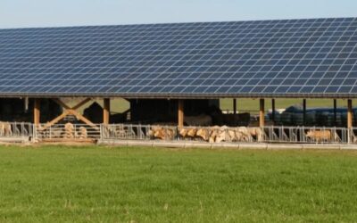 découvrez notre hangar photovoltaïque de 100 kwc, une solution idéale pour optimiser votre production d'énergie renouvelable. profitez d'un espace dédié à l'exploitation de l'énergie solaire tout en réduisant vos coûts énergétiques et votre empreinte carbone.
