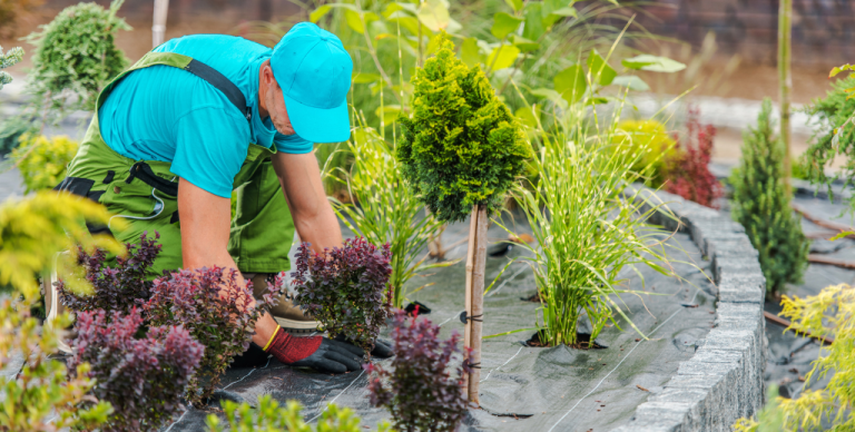 découvrez des idées vertes innovantes pour adopter un mode de vie durable et respectueux de l'environnement. transformez votre quotidien avec des astuces écologiques, des projets diy et des conseils pratiques pour réduire votre empreinte carbone.