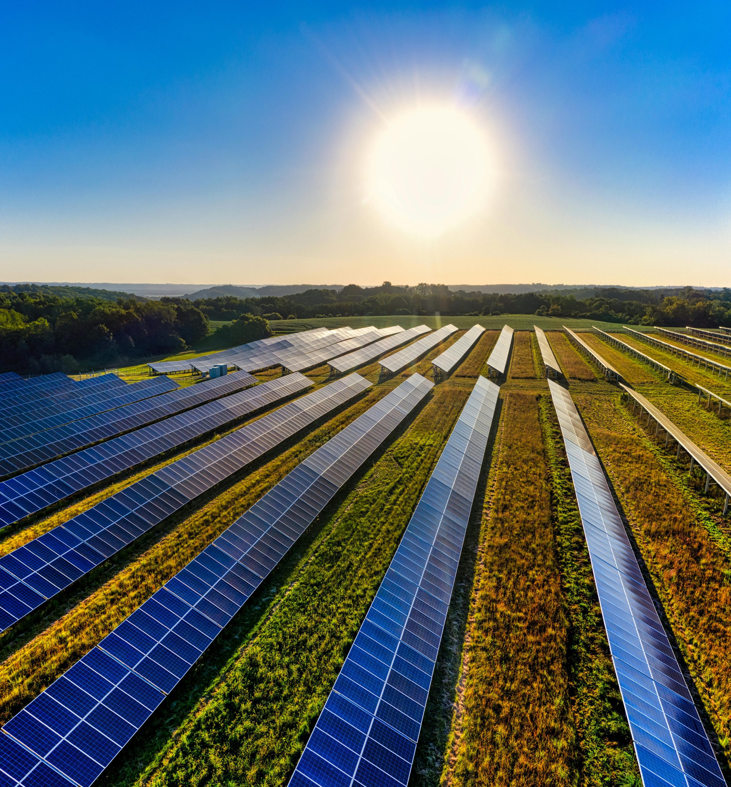 découvrez comment obtenir des images photovoltaïques gratuites pour vos projets. profitez d'une ressource précieuse pour mieux comprendre et promouvoir l'énergie solaire.