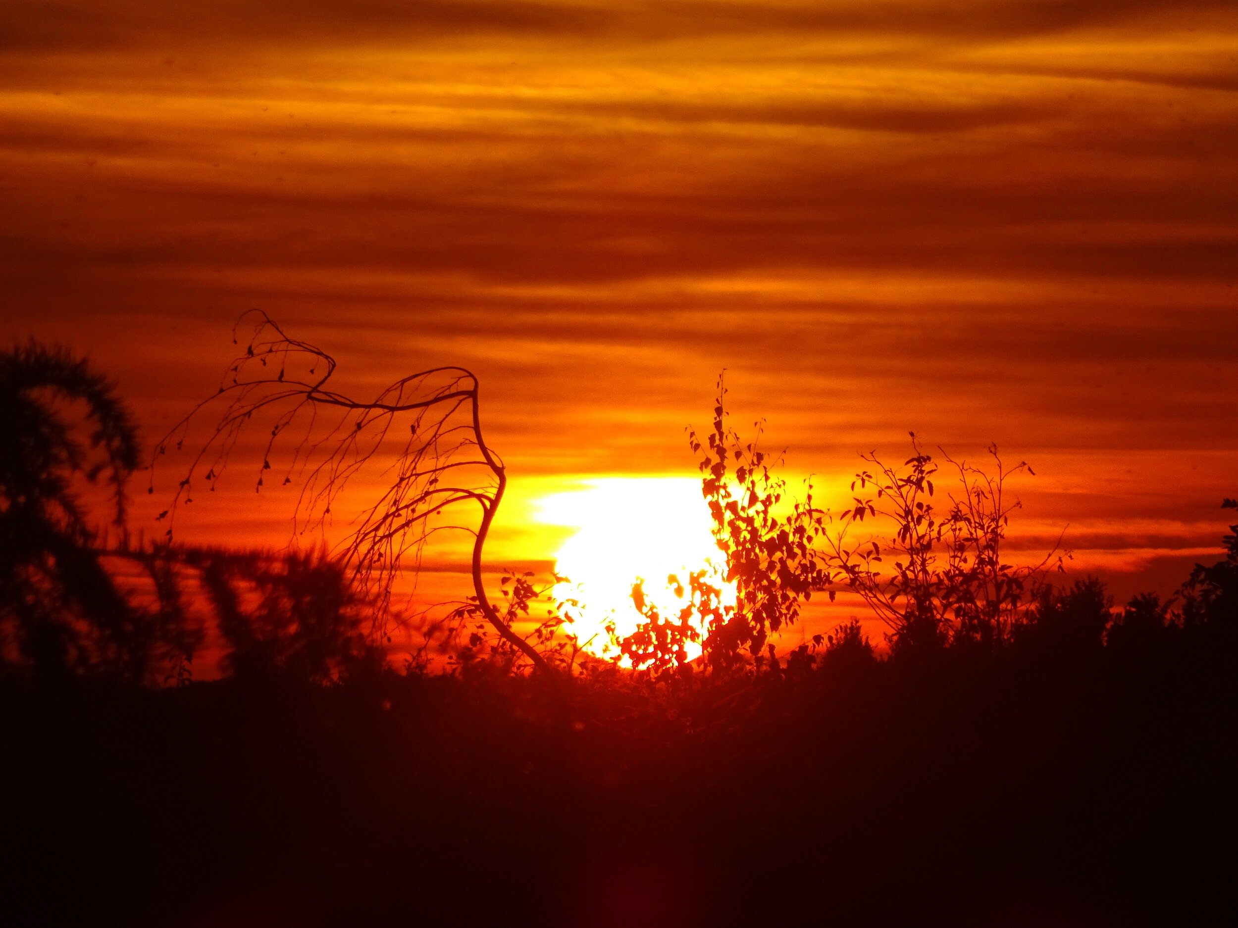 découvrez la philosophie d'en soleil nous croyons, un espace dédié à l'épanouissement personnel et spirituel. plongez dans notre vision inspirante qui met en avant la lumière, l'amour et la positivité. rejoignez-nous pour transformer votre quotidien et cultiver votre bien-être.