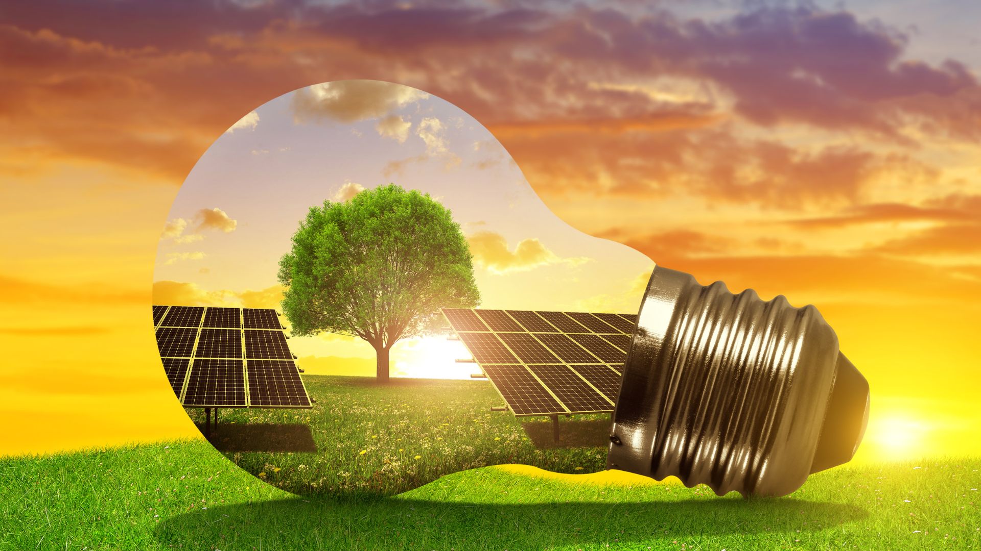 découvrez les principaux inconvénients de l'énergie solaire, notamment les défis liés aux coûts d'installation, à la dépendance des conditions météorologiques et aux limites de l'efficacité énergétique. informez-vous sur les aspects à considérer avant d'adopter cette source d'énergie renouvelable.