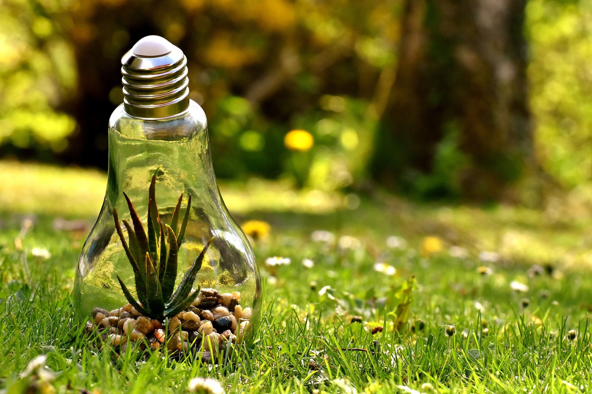 découvrez kelwatt, votre solution énergétique durable et innovante. profitez de produits et services dédiés à optimiser votre consommation d'énergie tout en respectant l'environnement. rejoignez-nous pour un avenir énergétique responsable !