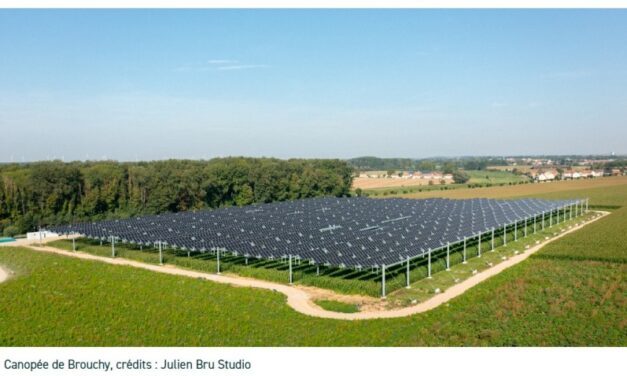 découvrez les lauréats du concours photovoltaïque 2025, mettant en avant les innovations et réalisations remarquables dans le domaine de l'énergie solaire. suivez les avancées des projets primés et leur impact sur la transition énergétique.