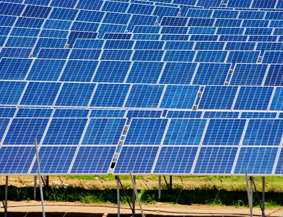 découvrez les lauréats photovoltaïques de 2025, qui mettent en avant les innovations et projets d'énergie solaire les plus prometteurs cette année. explorez les avancées durables et comment ces initiatives contribuent à un avenir énergétique plus vert.