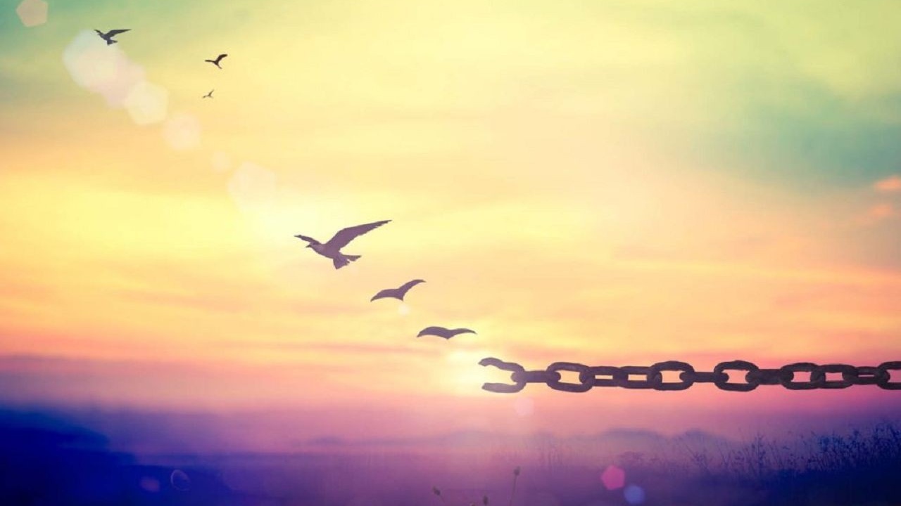 découvrez le concept de liberté à travers ses facettes multiples : individuelle, sociale et politique. explorez comment la recherche de la liberté façonne nos sociétés et influence notre quotidien.
