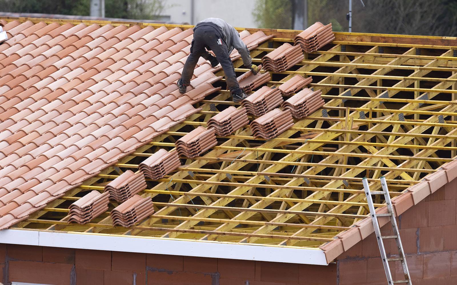 découvrez litelage, votre solution innovante pour transformer la gestion de vos données et optimiser vos processus. profitez d'une plateforme intuitive et performante pour l'analyse et l'archivage en toute simplicité.