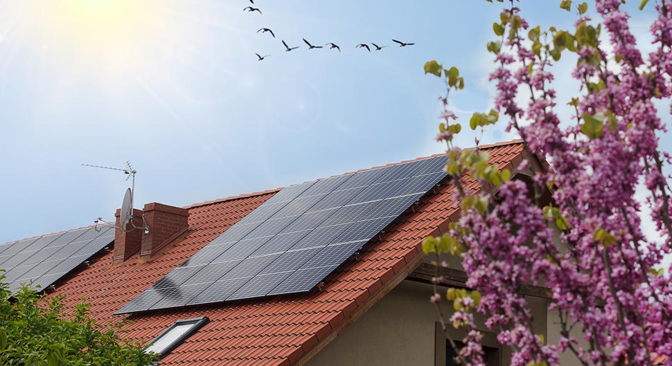 découvrez maison pv, votre expert en construction écologique et en énergie renouvelable. transformez votre habitat en un espace durable et éco-responsable grâce à nos solutions innovantes et personnalisées.