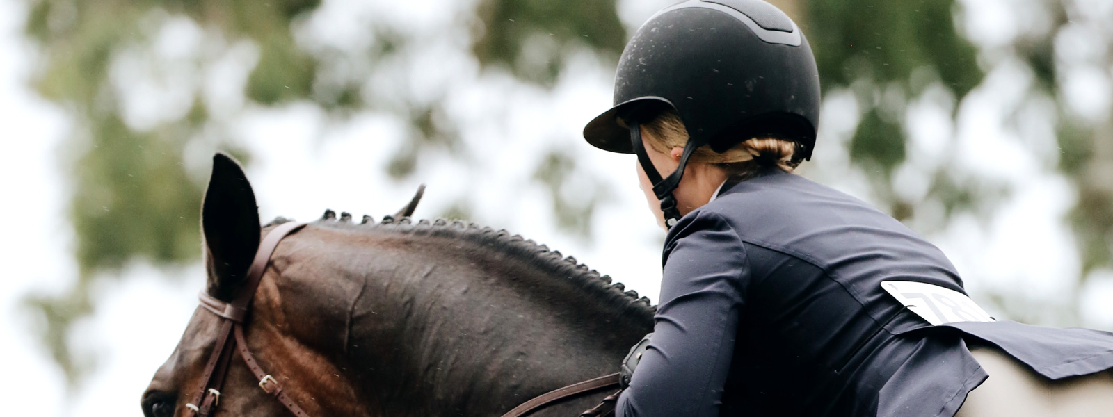 découvrez un manège équestre gratuit où passionnés de chevaux et novices peuvent profiter de moments inoubliables. venez pratiquer l'équitation dans un cadre convivial et enrichissant, sans frais. parfait pour les familles et les amateurs de nature!