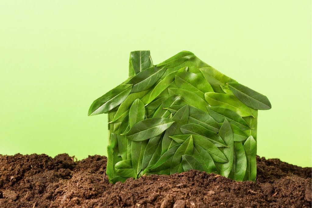 découvrez notre sélection de matériaux durables, alliant écologie, qualité et performance. transformez vos projets de construction et de rénovation avec des solutions respectueuses de l'environnement, durables et innovantes.