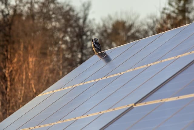 découvrez notre sélection des meilleurs panneaux solaires pour maximiser votre production d'énergie renouvelable. comparez les performances, l'efficacité et les prix pour un choix éclairé qui réduit votre empreinte carbone tout en réalisant des économies sur vos factures d'électricité.
