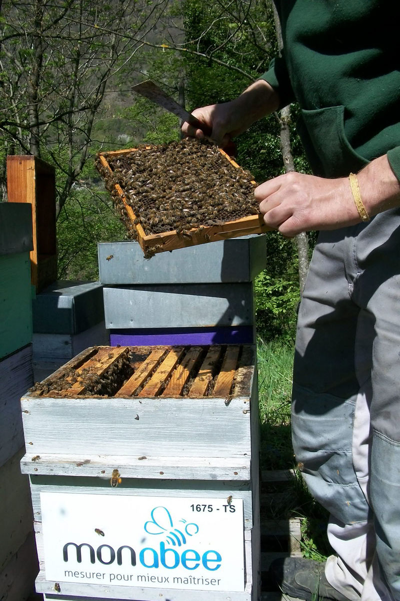 monabee est votre plateforme innovante dédiée à la gestion et l'optimisation de votre temps et de vos tâches. découvrez comment simplifier votre quotidien grâce à des outils performants et accessibles.