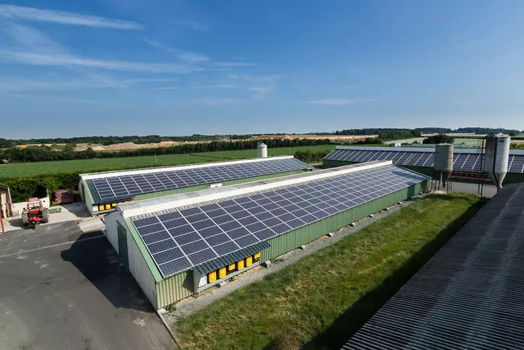 découvrez les dernières nouvelles et tendances sur le photovoltaïque : innovations, législation, projets de développement et impacts environnementaux. restez informé sur cette énergie renouvelable en pleine expansion.