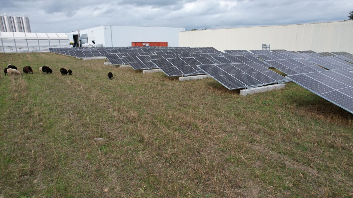 découvrez tout ce qu'il faut savoir sur les icpe photovoltaïques : réglementations, impacts environnementaux et avantages pour l'énergie renouvelable, tout en garantissant une installation sécurisée et conforme.