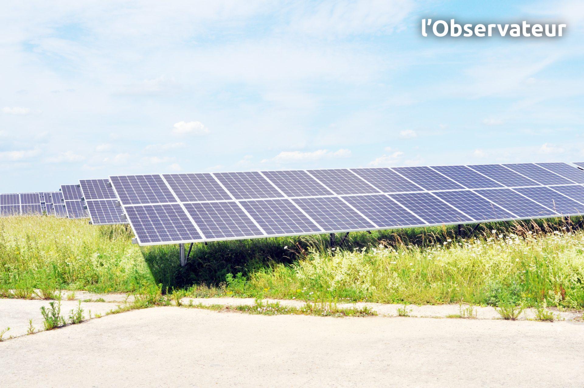 découvrez le fascinant monde de l'observation solaire. apprenez comment observer le soleil en toute sécurité, explorez les phénomènes solaires et plongez dans l'astrophysique grâce à notre guide complet pour les passionnés d'astronomie.
