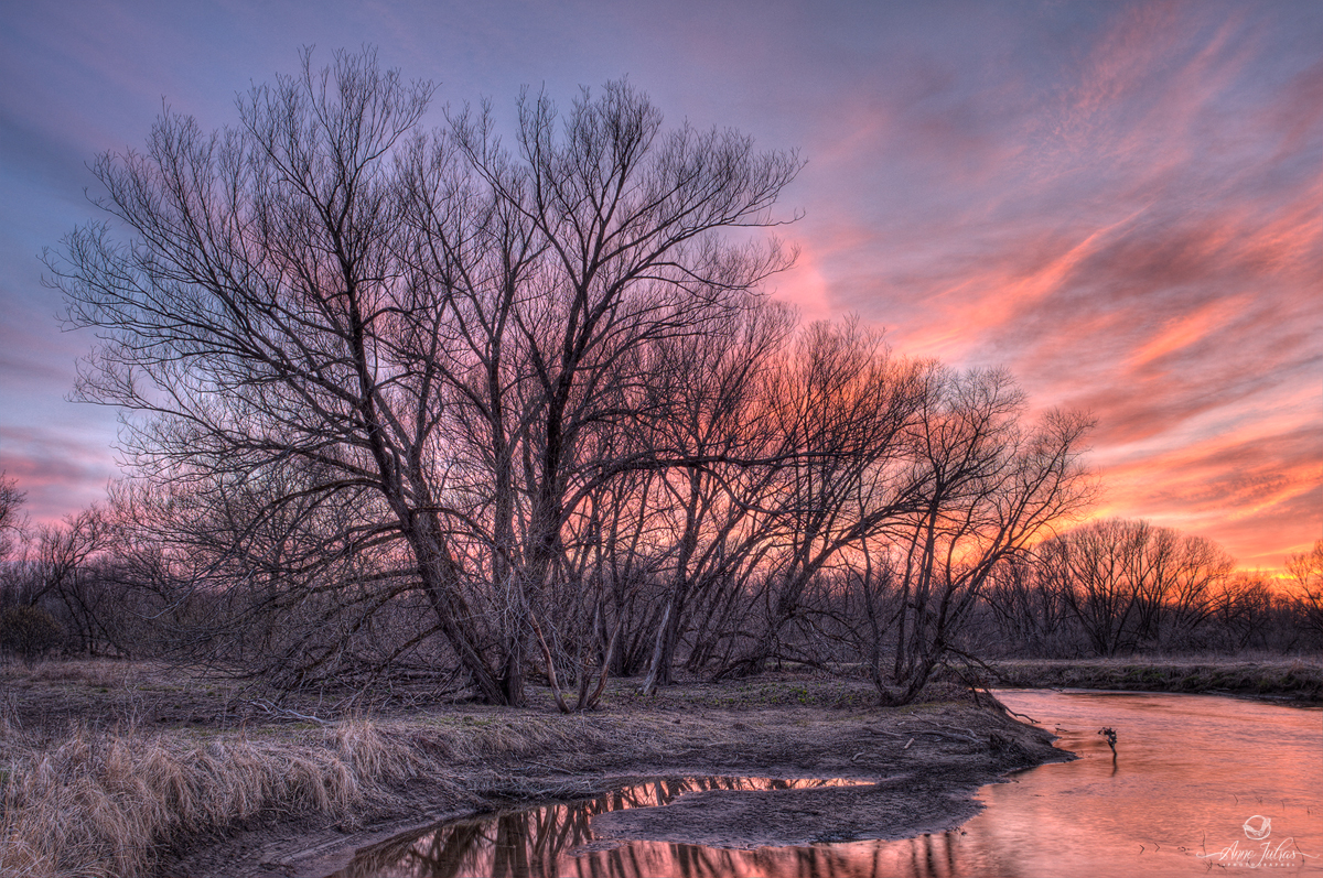 découvrez notre collection de photos captivantes qui éveillent les émotions. que ce soit pour des paysages, des portraits ou des moments de vie, chaque image raconte une histoire unique. plongez dans l'univers visuel et laissez-vous inspirer !