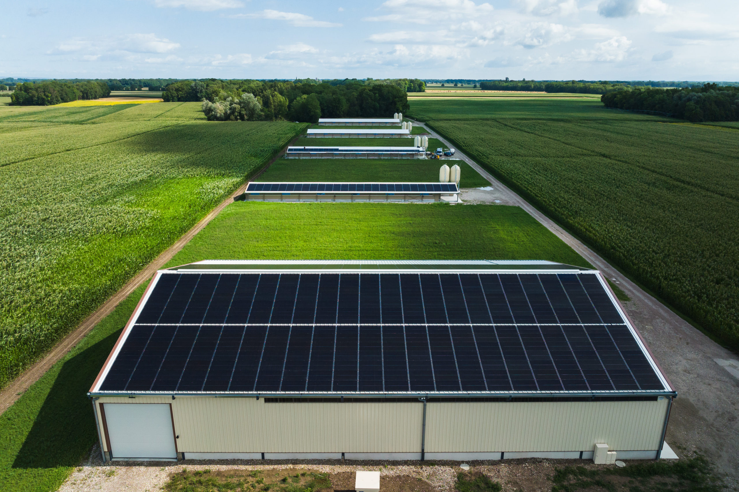 découvrez notre panneau solaire éco-responsable, une solution durable pour produire votre propre énergie propre. contribuez à la protection de l'environnement tout en réduisant vos factures d'électricité grâce à une technologie innovante et performante.