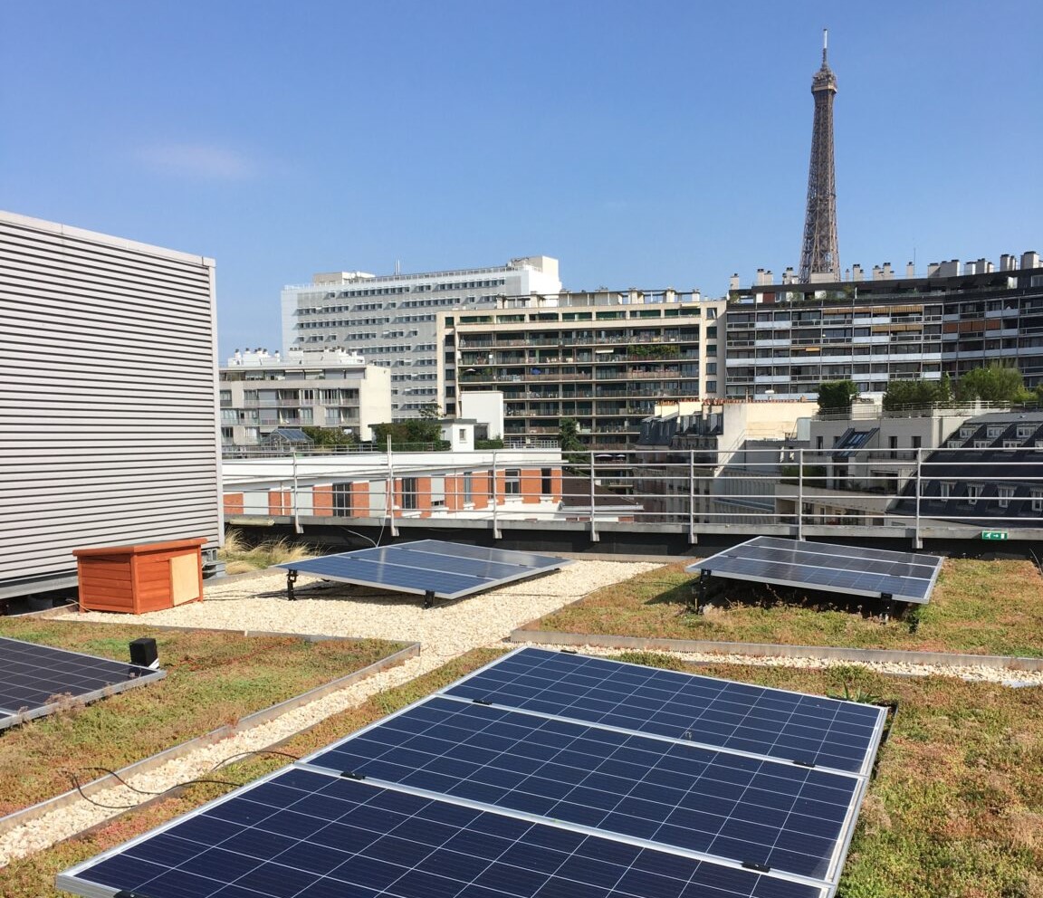 découvrez les avantages des panneaux solaires à paris : une solution écologique et économique pour réduire votre facture d'électricité et contribuer à la transition énergétique. informez-vous sur les différents types de panneaux solaires, leur installation et les aides disponibles.