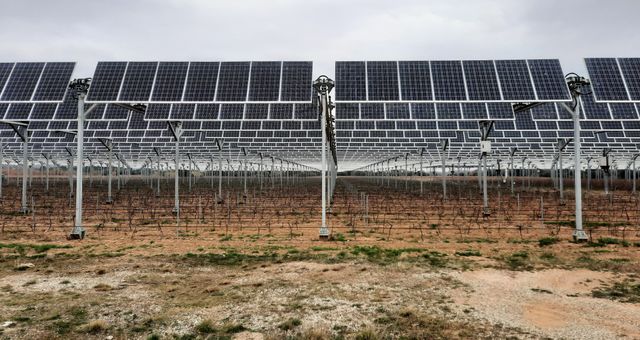 découvrez comment les panneaux solaires en france peuvent vous aider à réduire vos factures d'énergie, à adopter une solution durable et à contribuer à la transition énergétique. informez-vous sur les avantages, les subventions et les meilleures pratiques pour l'installation.