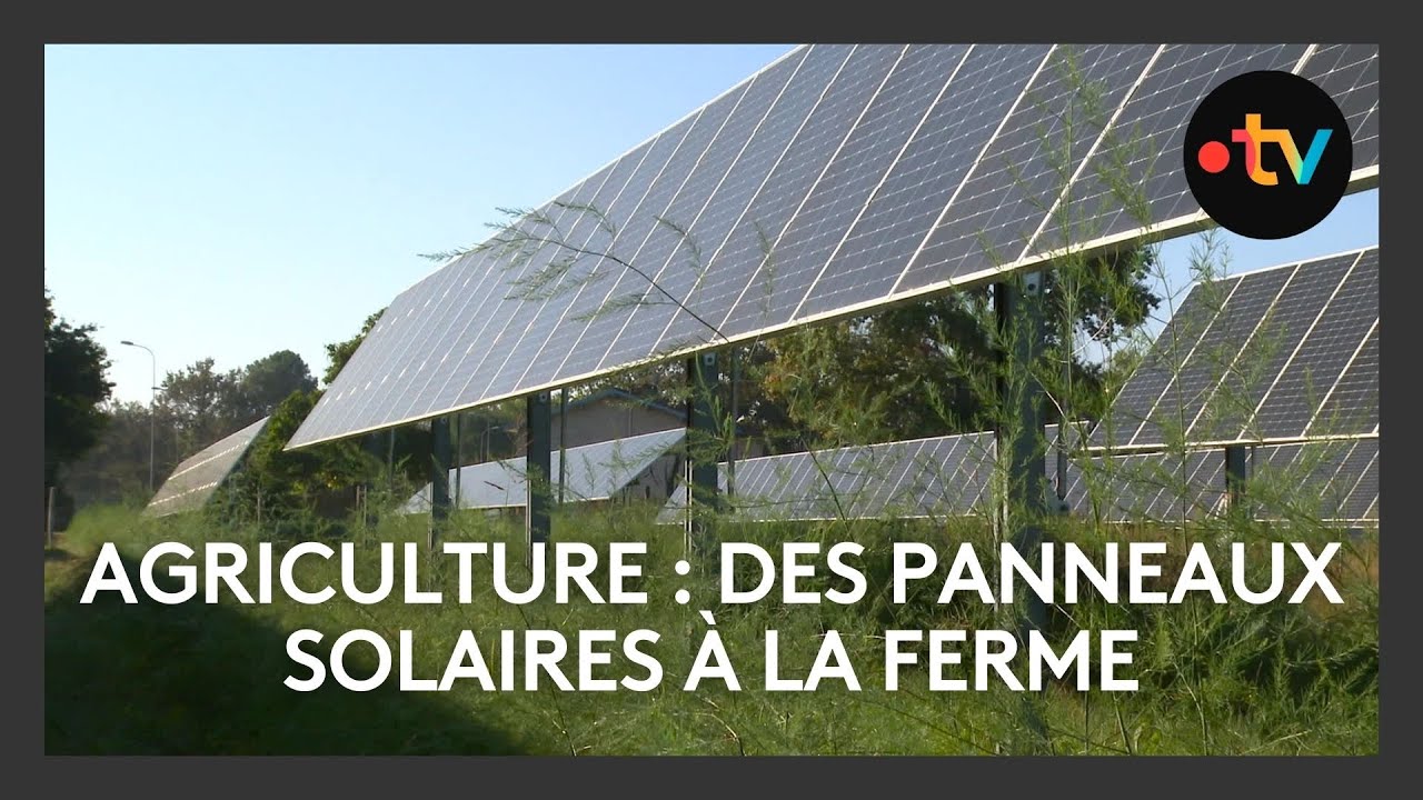 découvrez nos solutions de panneaux solaires en normandie pour réduire votre facture d'énergie et adopter une démarche écologique. profitez d'une installation professionnelle et d'un accompagnement personnalisé pour maximiser vos économies tout en respectant l'environnement.