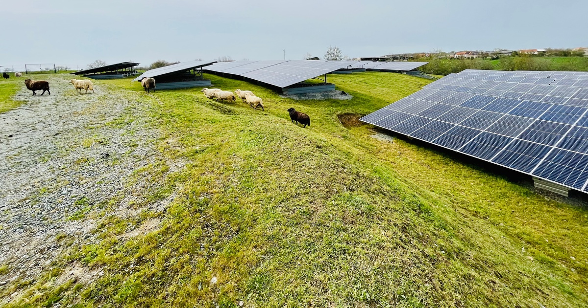 découvrez l'énergie photovoltaïque, une solution durable et renouvelable pour produire de l'électricité à partir du soleil. informez-vous sur les avantages, l'installation et les économies d'énergie offertes par les panneaux solaires. transformez votre manière de consommer l'énergie avec le photovoltaïque.