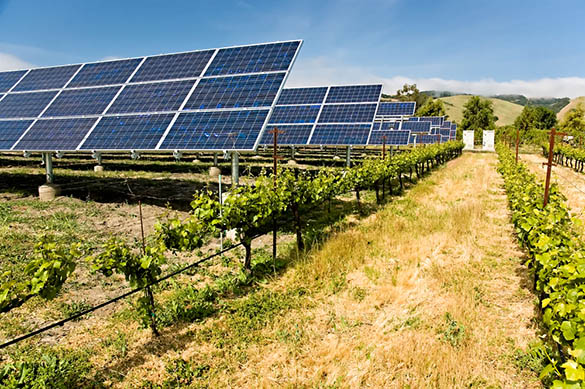 découvrez les avantages du photovoltaïque agricole, une solution durable pour optimiser la production d'énergie sur vos exploitations tout en réduisant les coûts et en préservant l'environnement.