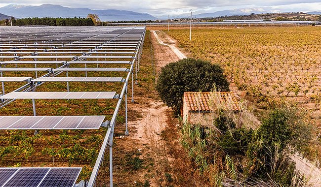 découvrez comment le photovoltaïque agricole transforme les exploitations en sources d'énergie durable. optimisez vos rendements tout en contribuant à la protection de l'environnement grâce à cette solution innovante et rentable.