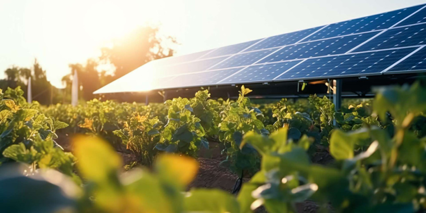 découvrez les avantages du photovoltaïque agricole : une solution durable pour optimiser la production énergétique de vos exploitations tout en réduisant votre empreinte carbone. informez-vous sur les systèmes photovoltaïques adaptés aux besoins des agriculteurs.