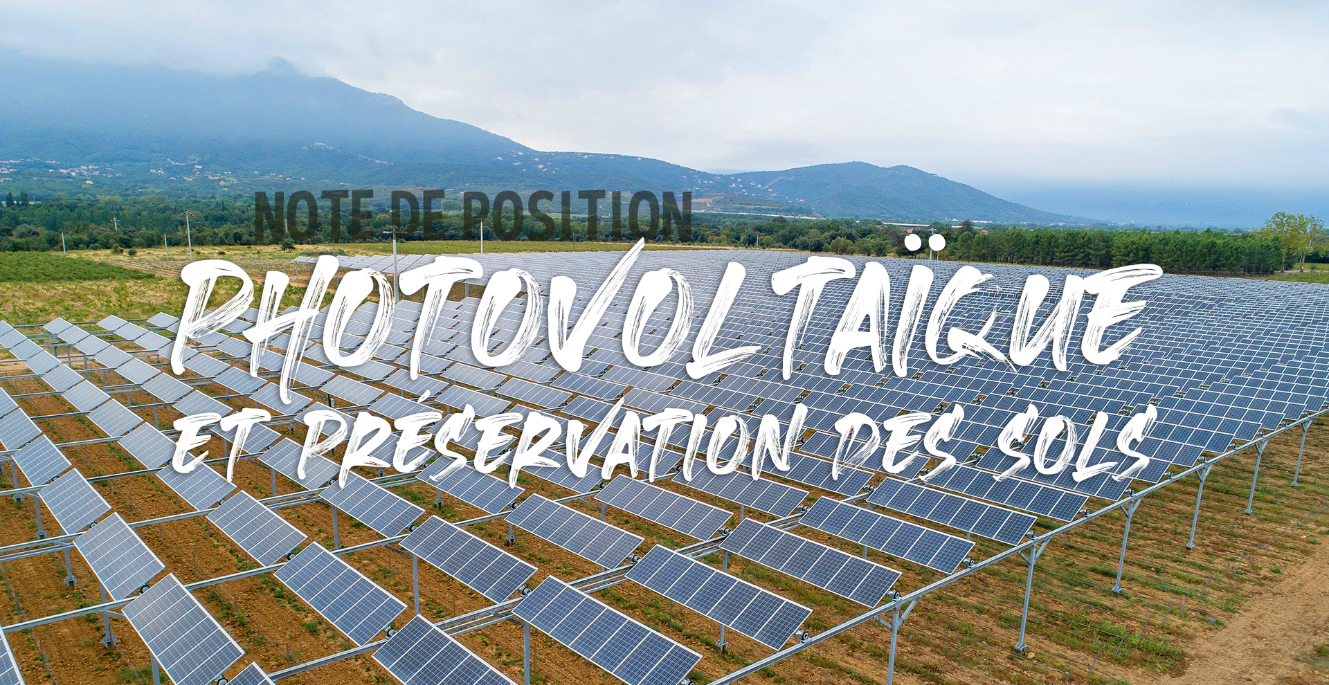 découvrez comment l'énergie photovoltaïque transforme l'agriculture en optimisant la production et en réduisant les coûts énergétiques. apprenez les avantages des panneaux solaires pour les exploitations agricoles et comment ils contribuent à une agriculture durable.