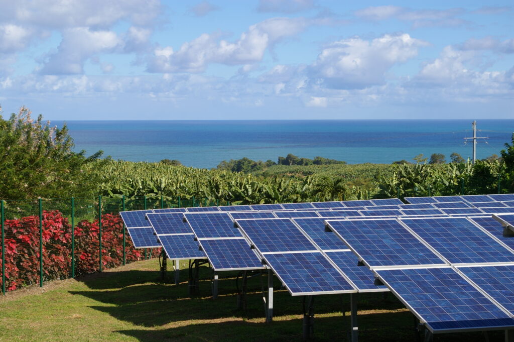 découvrez les dernières informations, actualités et événements concernant les pv (procès-verbaux) en martinique. restez informé sur les enjeux administratifs et législatifs qui touchent l'île.