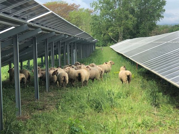 découvrez les solutions photovoltaïques à molsheim pour optimiser votre consommation d'énergie et réduire votre empreinte carbone. profitez d'une énergie renouvelable et durable pour votre maison ou votre entreprise.