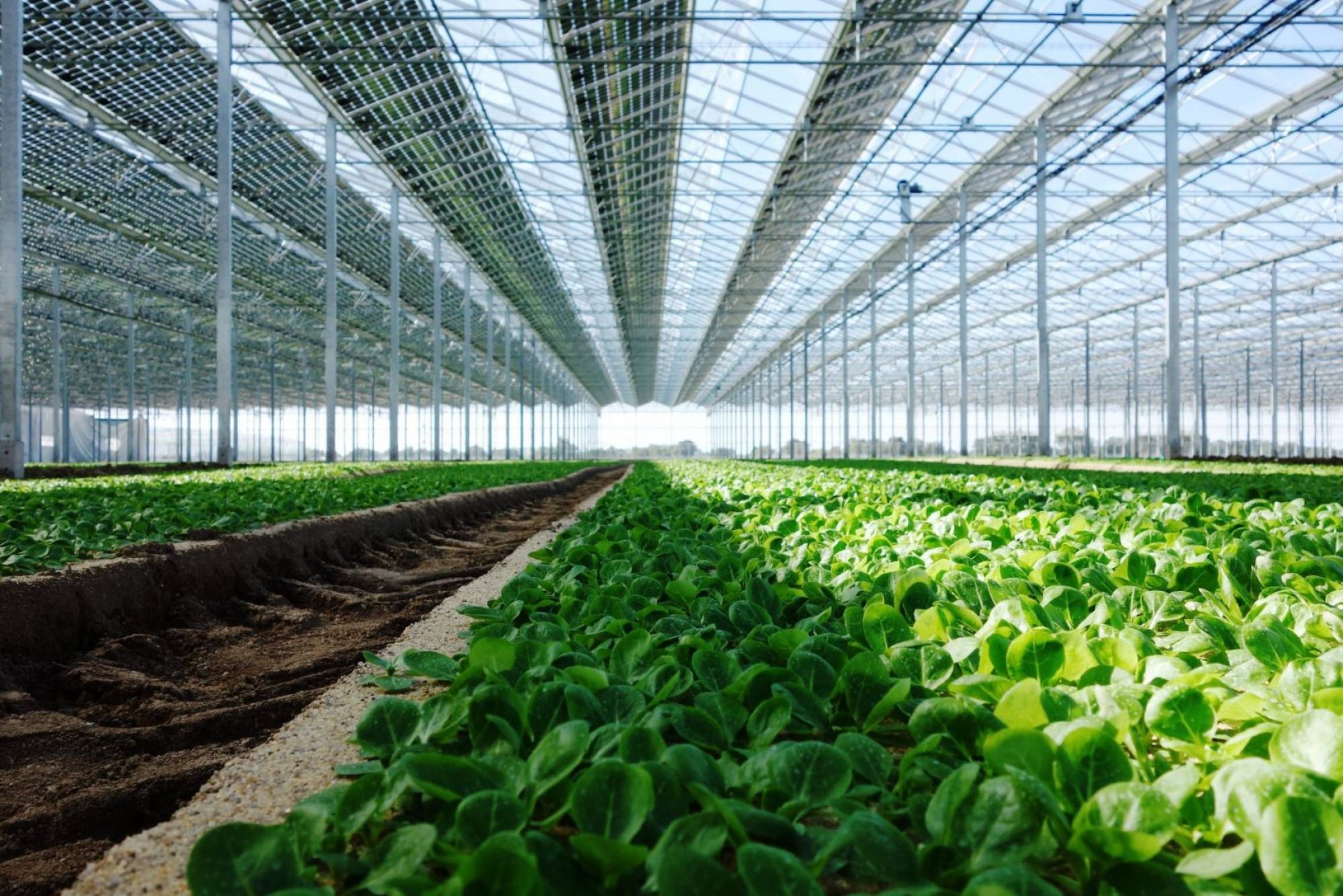 découvrez les solutions photovoltaïques à montpellier pour produire votre propre électricité verte et réduire vos factures d'énergie. profitez de l'ensoleillement exceptionnel de la région et participez à la transition énergétique.