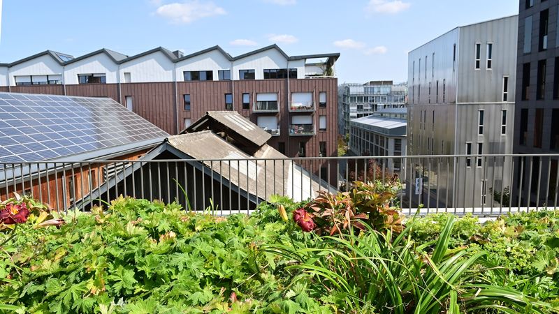 découvrez les solutions photovoltaïques à nantes pour produire votre propre énergie renouvelable. informez-vous sur les avantages du solaire, les aides disponibles et les experts locaux pour optimiser votre installation. profitez du soleil nantais tout en réduisant votre empreinte carbone.