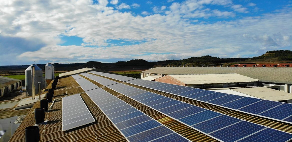 découvrez les avantages des systèmes photovoltaïques pour produire une énergie verte et économique. apprenez comment installer des panneaux solaires et réduire votre facture d'électricité tout en contribuant à la protection de l'environnement.