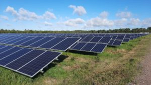 découvrez l'impact de la pollution liée aux panneaux solaires sur l'environnement. analysez les défis écologiques, les solutions durables et l'avenir des énergies renouvelables tout en préservant notre planète.