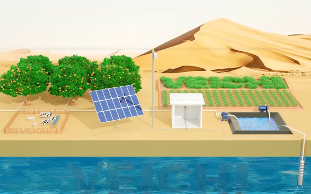 découvrez la pompe photovoltaïque, une solution innovante et écologique pour alimenter en eau vos cultures et jardins. profitez d'une énergie gratuite et renouvelable pour un arrosage efficace et durable.